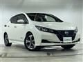 2021 Nissan Leaf