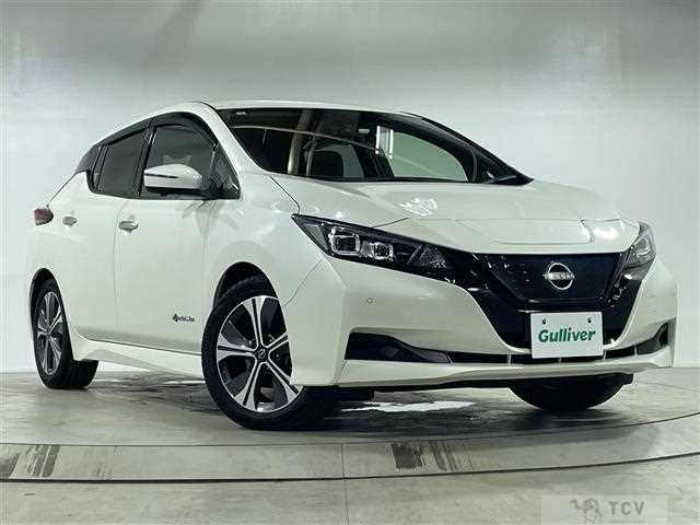 2021 Nissan Leaf