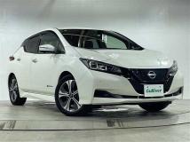 2021 Nissan Leaf