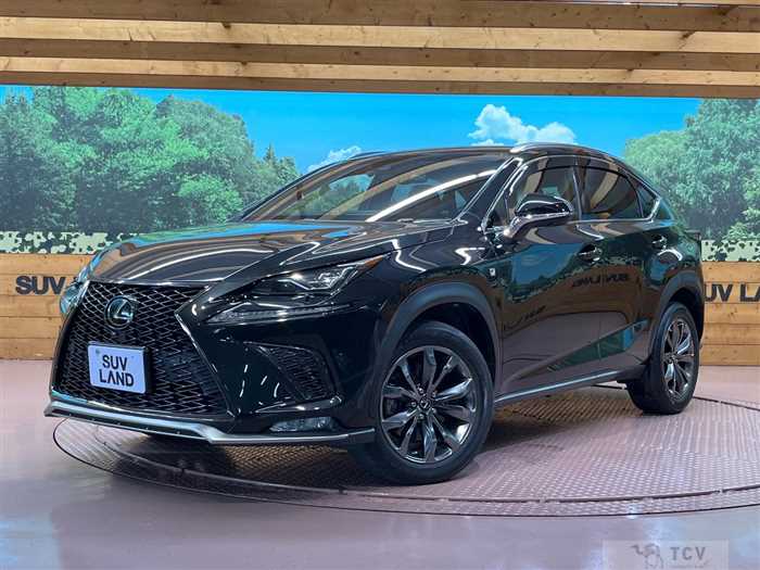 2018 Lexus NX