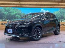 2018 Lexus NX