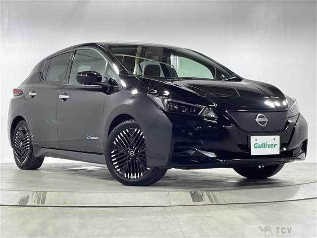 2023 Nissan Leaf