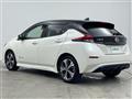 2021 Nissan Leaf