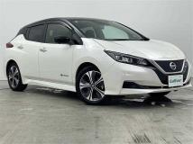 2021 Nissan Leaf