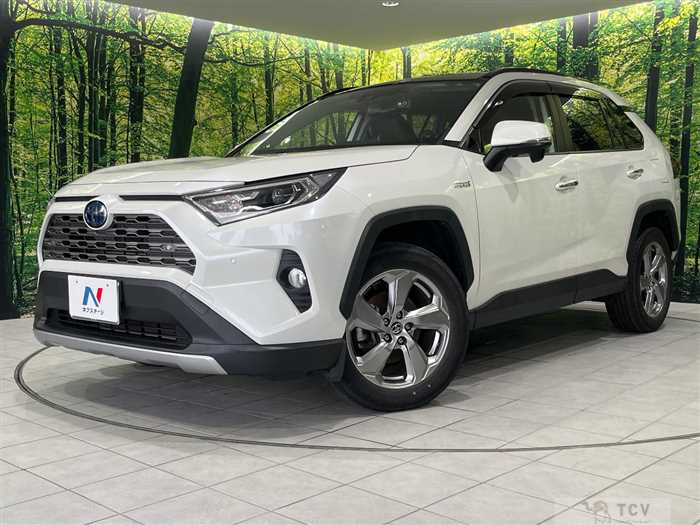 2020 Toyota RAV4