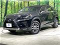 2019 Lexus NX