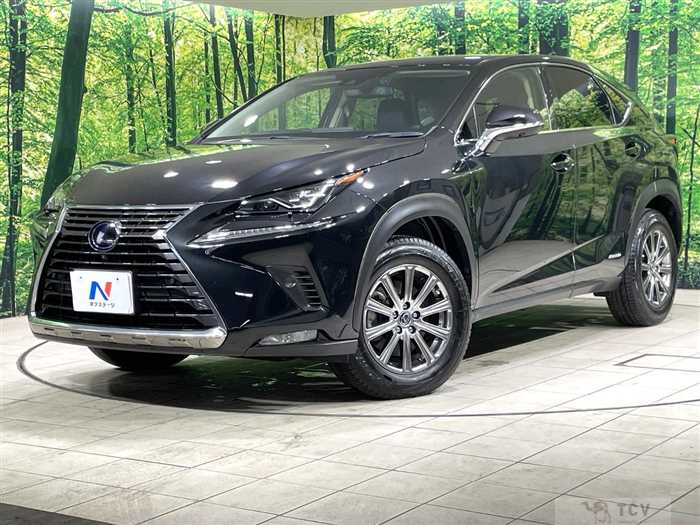 2019 Lexus NX