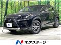 2019 Lexus NX