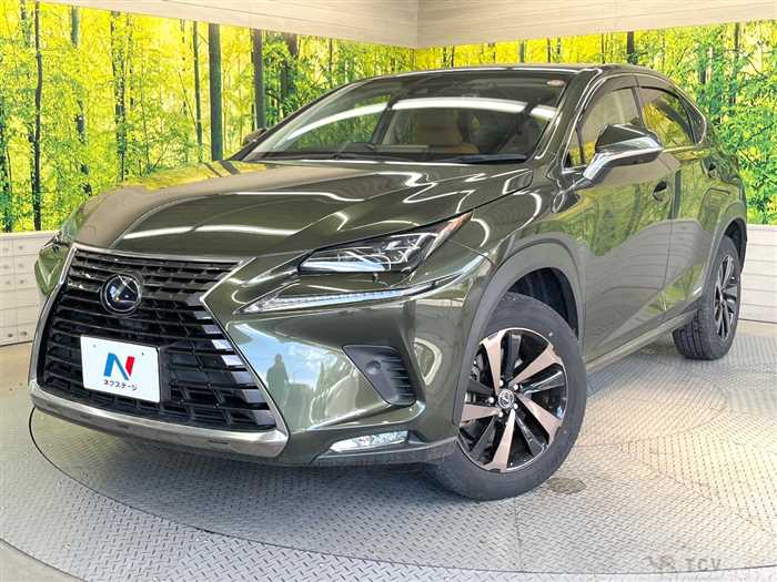 2021 Lexus NX