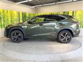 2021 Lexus NX