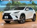 2021 Lexus NX