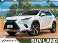 2021 Lexus NX