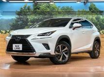 2021 Lexus NX
