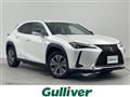 2021 Lexus UX