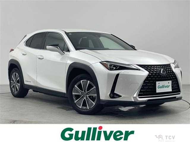 2021 Lexus UX