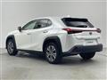 2021 Lexus UX
