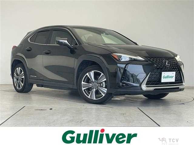 2022 Lexus UX
