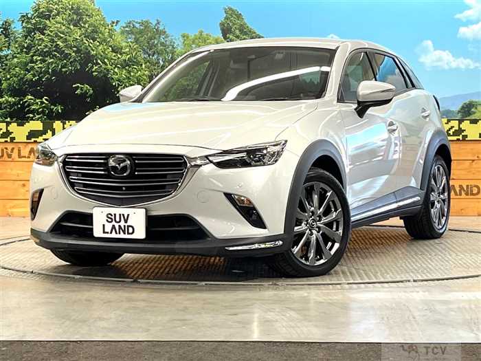 2019 Mazda CX-3