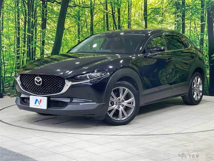 2019 Mazda Mazda Others