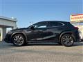 2020 Lexus UX