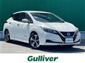 2017 Nissan Leaf
