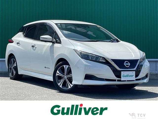 2017 Nissan Leaf