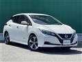2017 Nissan Leaf