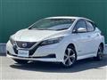 2017 Nissan Leaf