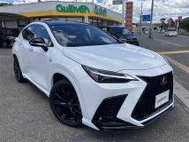 2025 Lexus NX