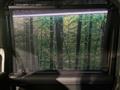 2017 Toyota Roomy