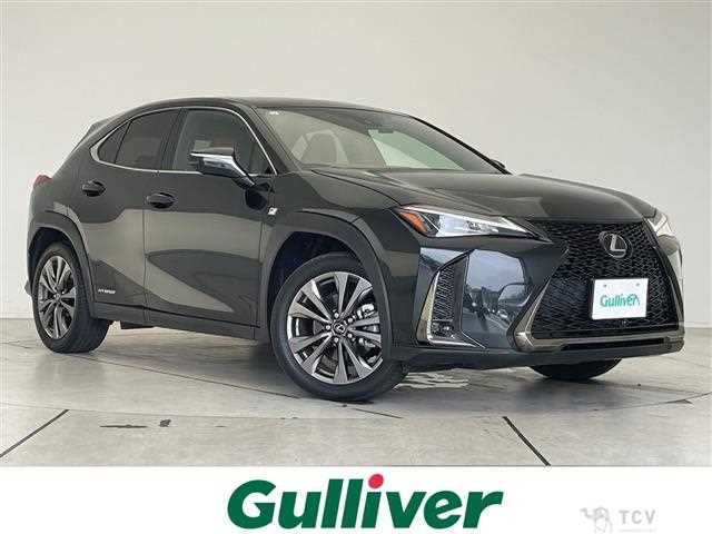 2021 Lexus UX