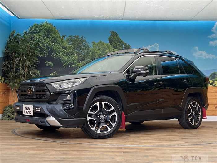 2019 Toyota RAV4