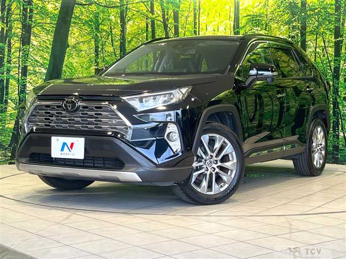 2019 Toyota RAV4