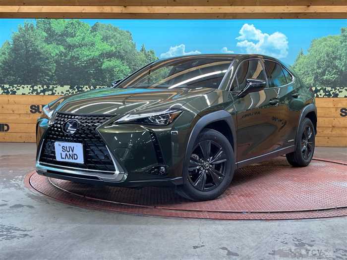 2019 Lexus Other