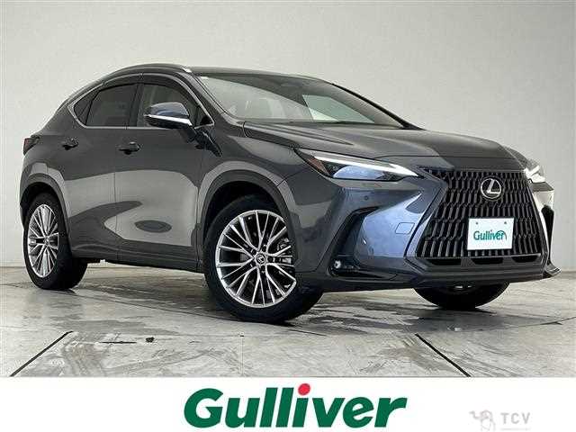 2022 Lexus NX