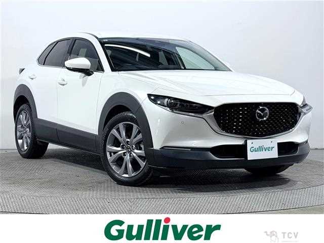 2022 Mazda CX-3