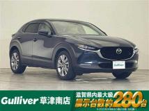 2019 Mazda CX-3