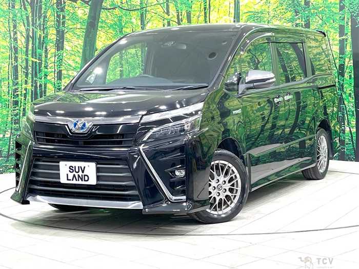 2018 Toyota Voxy