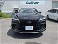 2025 Lexus RX
