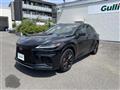 2025 Lexus RX