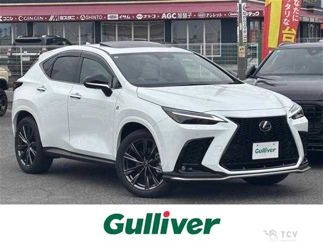2024 Lexus NX