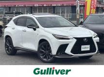 2024 Lexus NX