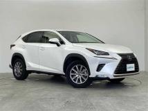 2019 Lexus NX
