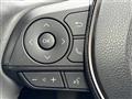 2019 Toyota Corolla Sports