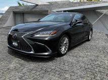 2020 Lexus ES