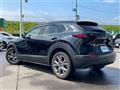 2019 Mazda CX-3