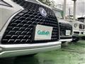 2021 Lexus RX