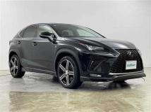 2020 Lexus NX