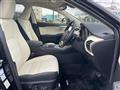 2019 Lexus NX