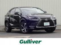 2019 Lexus NX